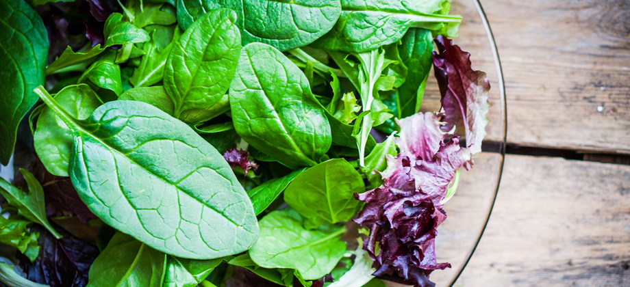 Freshh green salad with spinach,arugula,romane and lettuce